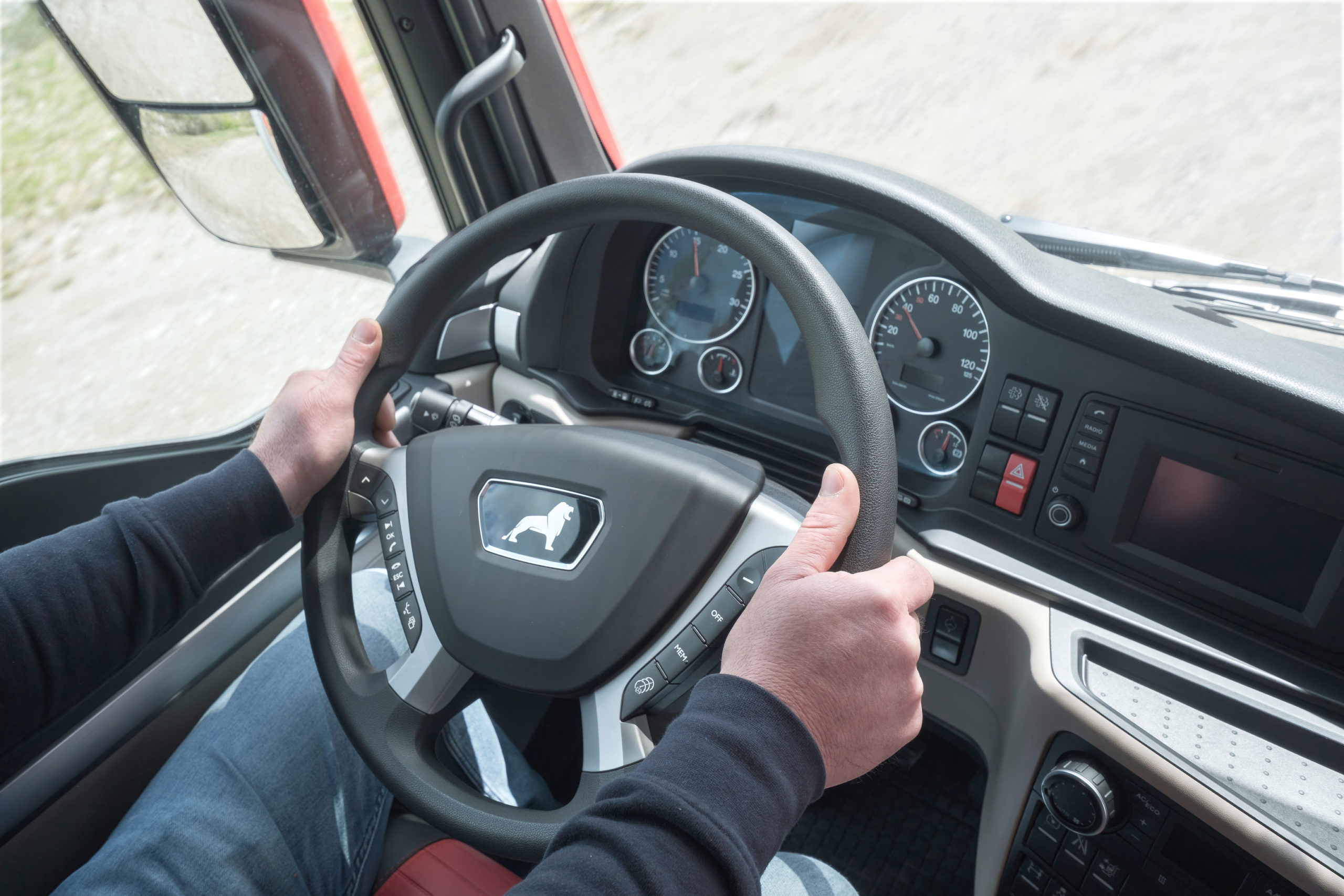 Dettaglio mani e volante di autista Good Truck